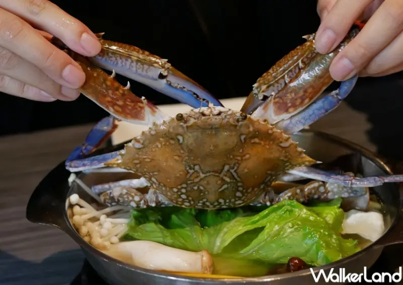 鼎盛十里 母親節優惠 / WalkerLand窩客島整理提供 未經許可，不得轉載