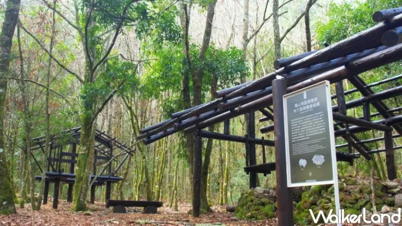 台中和平步道推薦 / WalkerLand窩客島整理提供 未經許可，不得轉載