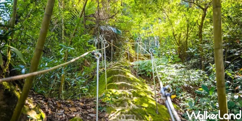 台中和平步道推薦 / WalkerLand窩客島整理提供 未經許可，不得轉載