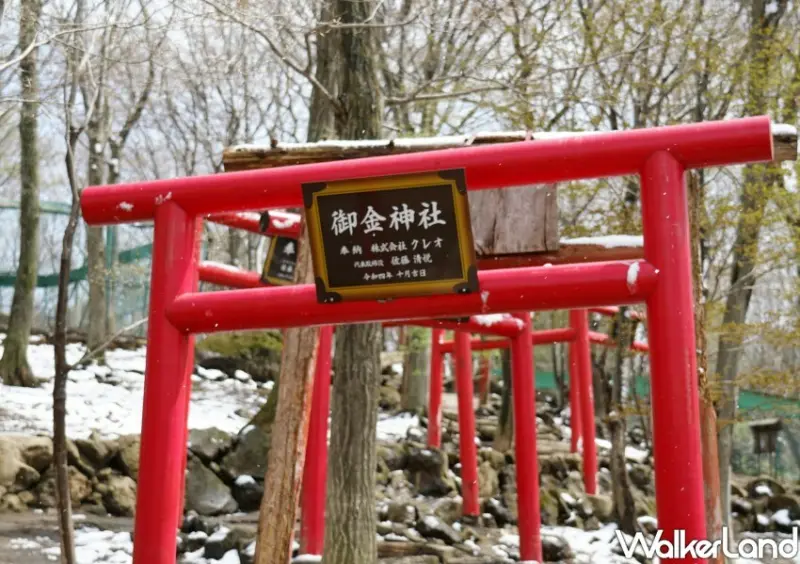 星宇航空線上旅展 / WalkerLand窩客島整理提供 未經許可不可轉載