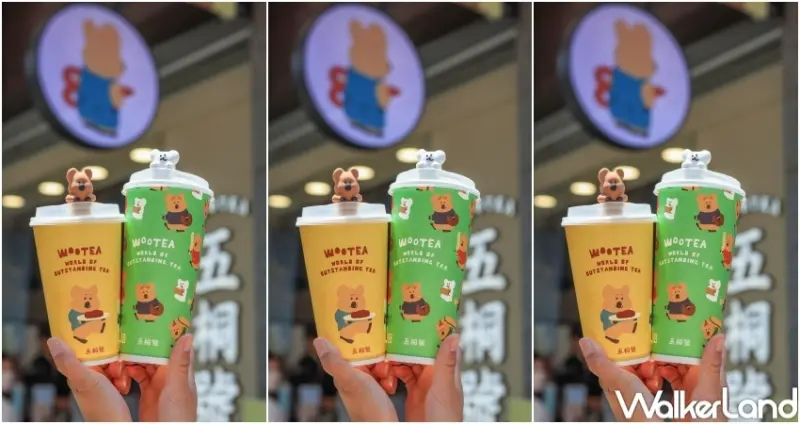 五桐號x DinoTaeng聯名 / WalkerLand窩客島提供 未經許可，不得轉載