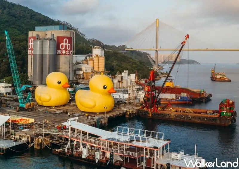 香港 橡皮鴨二重暢 / WalkerLand窩客島整理提供 未經許可，不得轉載