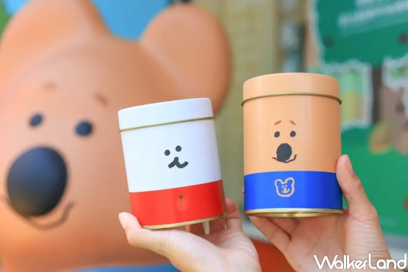 五桐號x DinoTaeng聯名 / WalkerLand窩客島提供 未經許可，不得轉載