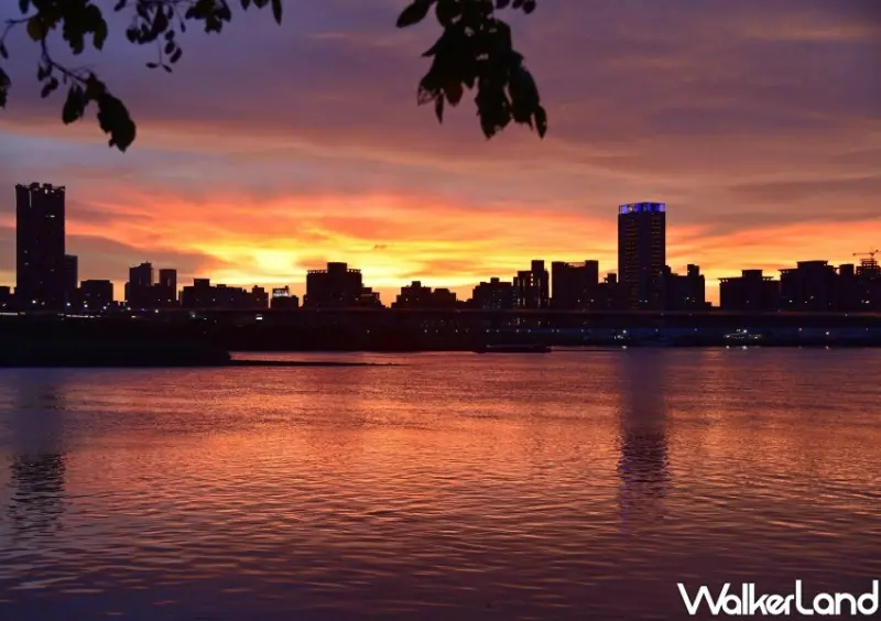 大稻埕煙火「2023大稻埕夏日節」/ WalkerLand窩客島整理提供 未經同意不可轉載