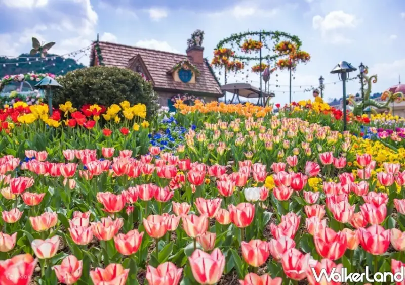 台北夏季旅展 韓國旅遊優惠(/ WalkerLand窩客島整理提供 未經同意不可轉載