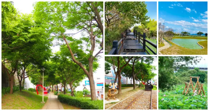 你不知道的樹林美景！新北9個隱藏版「樹林打卡景點」快踩點，絕美湖光「心型池畔步道」、飽覽大台北「空中觀景台」，一起走入新北療癒秘境。