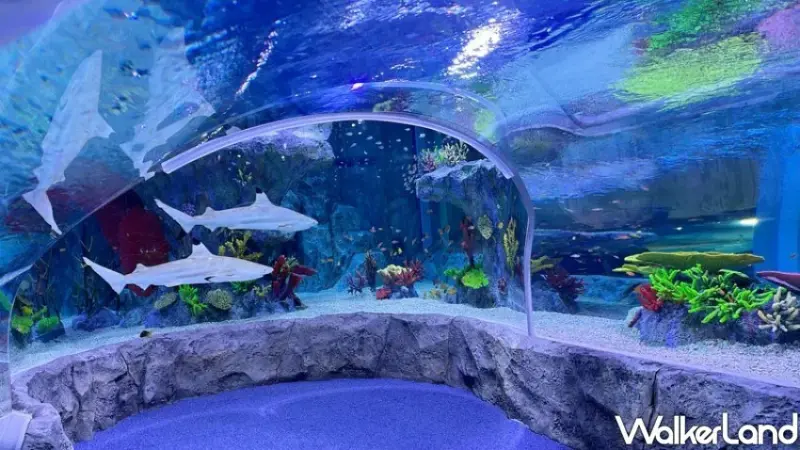 TTE台北旅展韓國優惠/ WalkerLand窩客島整理提供 未經同意不可轉載