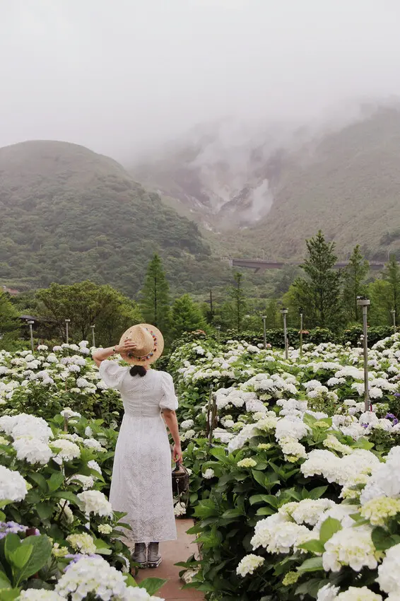 ▲台北繡球花必拍景點推薦：大賞園 /婗媽 提供、WalkerLand窩客島整理