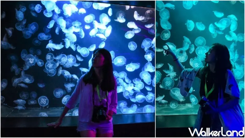 新加坡名勝世界推薦玩法 / WalkerLand窩客島提供 未經許可，不得轉載