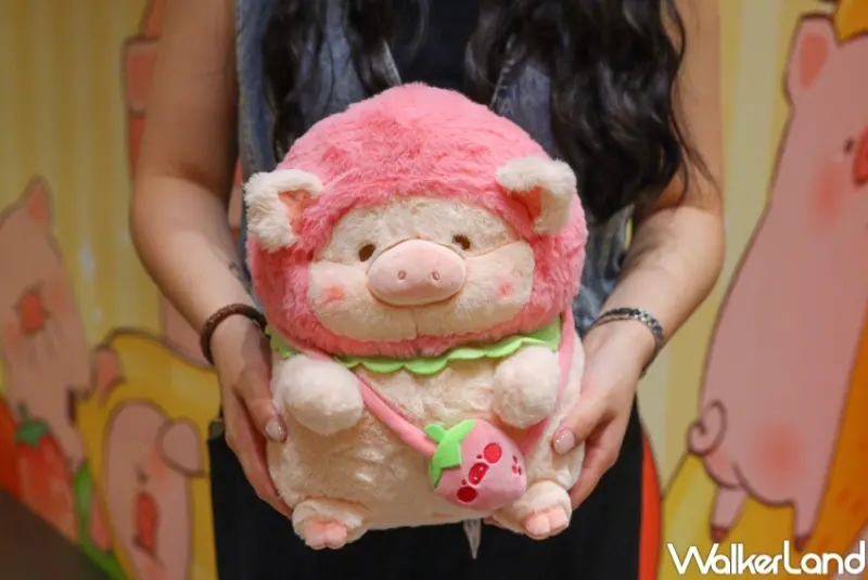 罐頭豬LuLu鮮甜多汁水果舖－遠百竹北快閃店 / WalkerLand窩客島提供 未經許可，不得轉載