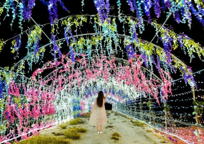 2023蘆竹炫YA農遊季/ WalkerLand窩客島整理提供 未經同意不可轉載