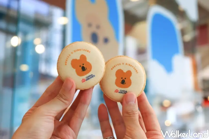 五桐號X華航 聯名機上餐點 / WalkerLand窩客島提供 未經許可，不得轉載