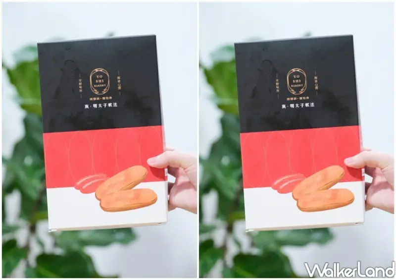 全家x陳耀訓・麵包埠「真・明太子軟法」/ WalkerLand窩客島整理提供 未經同意不可轉載