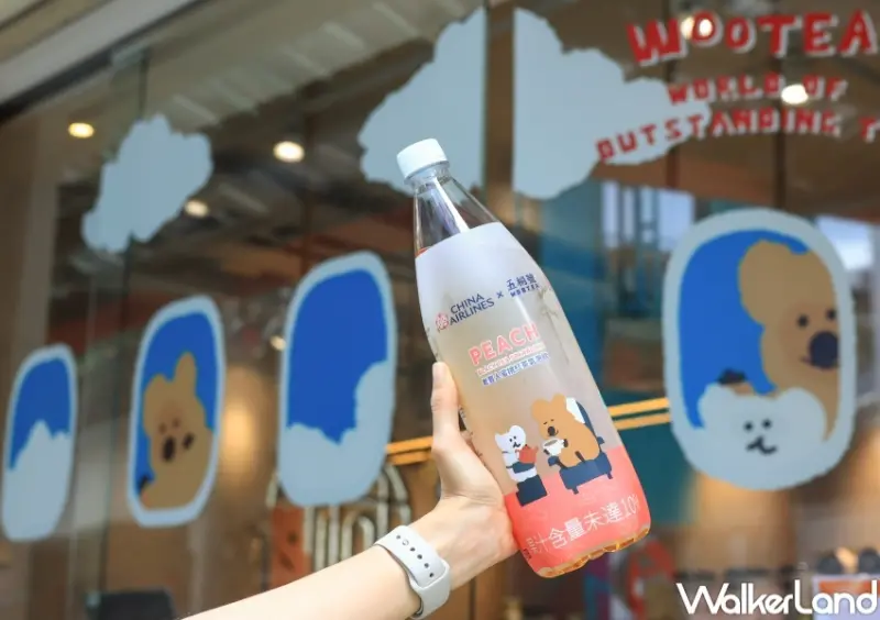 五桐號X華航 聯名機上餐點 / WalkerLand窩客島提供 未經許可，不得轉載