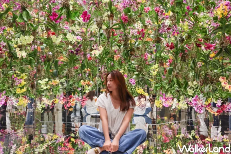 澳門倫敦人 / WalkerLand窩客島提供 未經許可，不得轉載