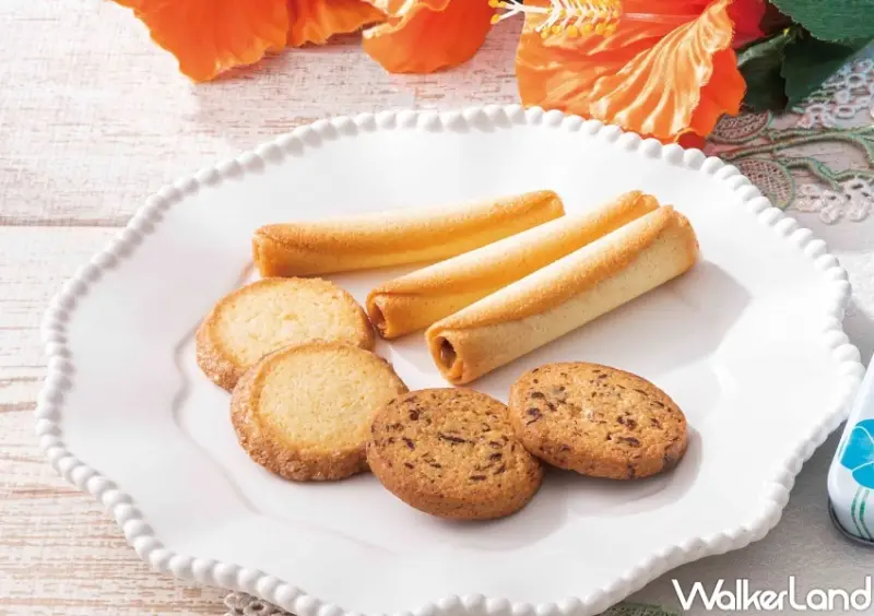 YOKU MOKU新品 / WalkerLand窩客島整理提供 未經許可，不得轉載