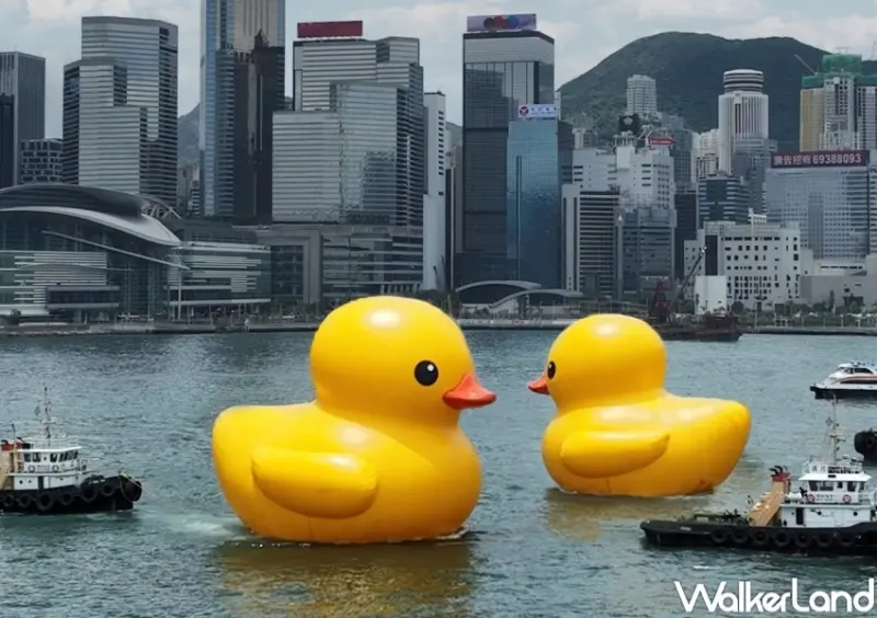 橡皮鴨二重暢 / WalkerLand窩客島整理提供 未經許可，不得轉載