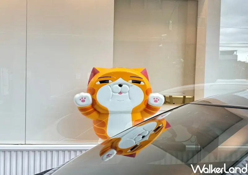 板橋白爛貓雜貨舖/ WalkerLand窩客島整理提供 未經同意不可轉載