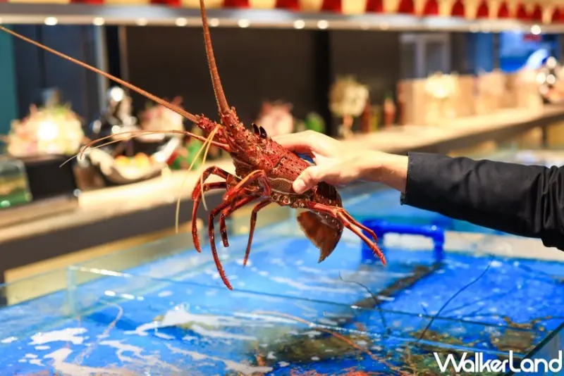 龍軒傳承 / WalkerLand窩客島提供 未經許可，不得轉載