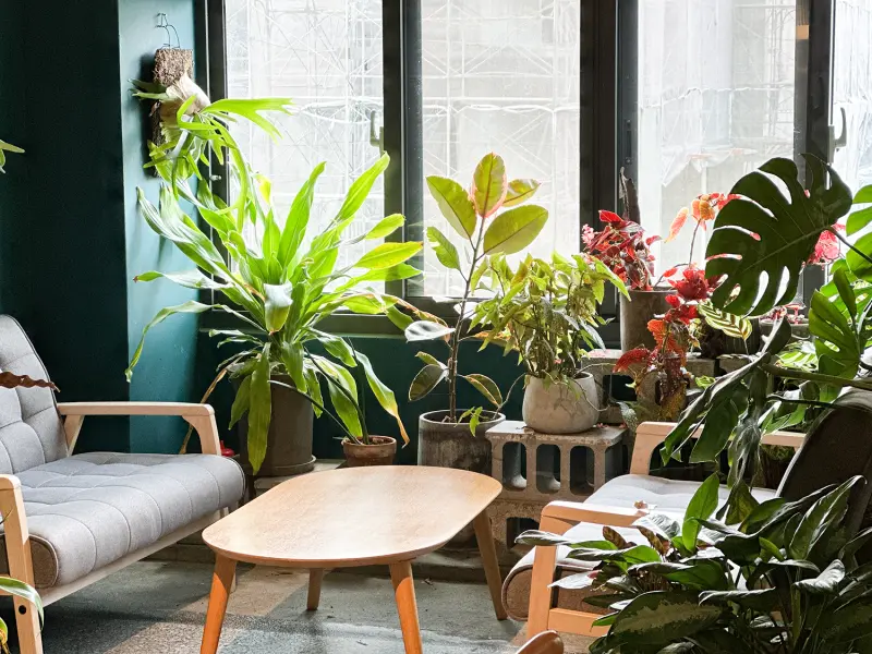 「孔雀咖啡 PEACOCKS COFFEE」 — 植男植女一定會愛的文青咖啡廳｜台中咖啡廳推薦｜選豆｜手沖｜水洗咖啡豆｜必吃提拉米蘇｜下午茶推薦