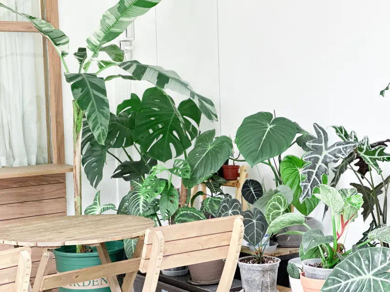 在河堤旁曬著日光好好「裹腹 Grab Food Brunch」一頓吧｜台中早午餐｜文青小店｜日系早午餐｜跟著貓店長發粿來頓浪漫早餐約會｜寵物友善