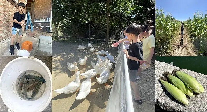 竹北親子景點》Go Bear 溝貝親子休閒農莊，一進場開始玩到離場，自己釣魚蝦自己吃、撿雞蛋來煮蔥花蛋、拔蘿