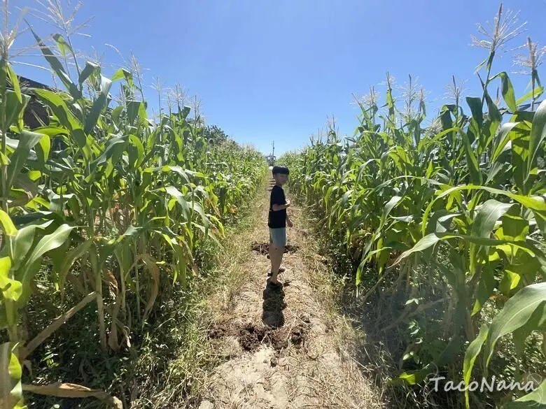 新竹竹北景點推薦：Go Bear 溝貝親子休閒農莊/ WalkerLand窩客島整理提供 未經許可不可轉載