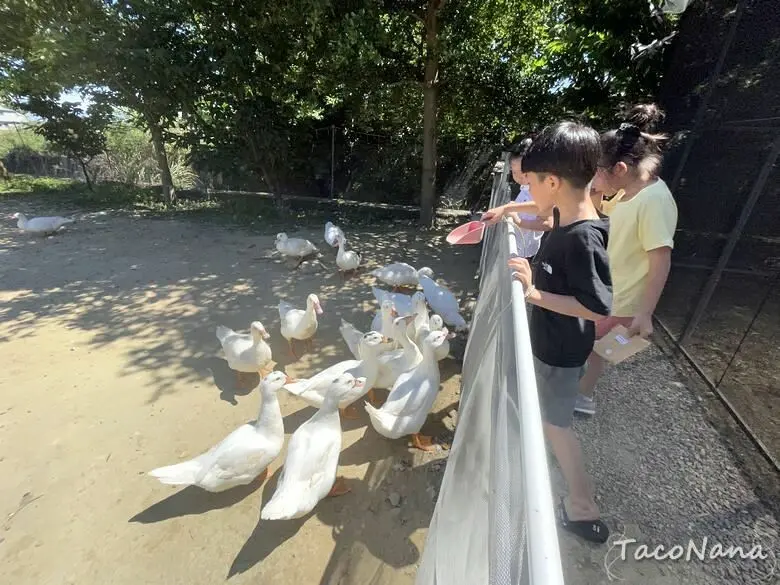 新竹竹北景點推薦：Go Bear 溝貝親子休閒農莊/ WalkerLand窩客島整理提供 未經許可不可轉載