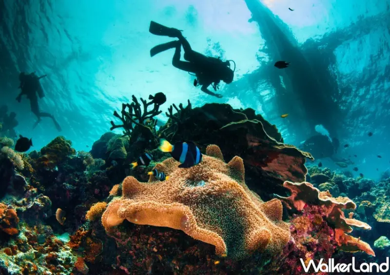 華航父親節特價機票/ WalkerLand窩客島整理提供 未經同意不可轉載