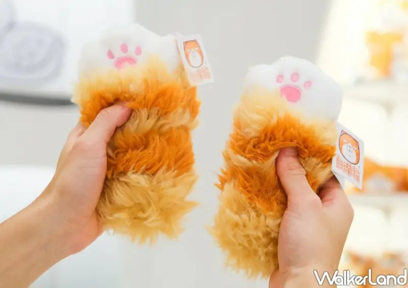 板橋「白爛貓雜貨舖」/ WalkerLand窩客島整理提供 未經同意不可轉載