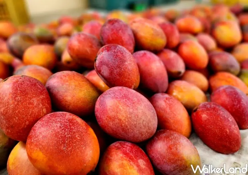 千葉火鍋 7月優惠 / WalkerLand窩客島整理提供 未經許可，不得轉載