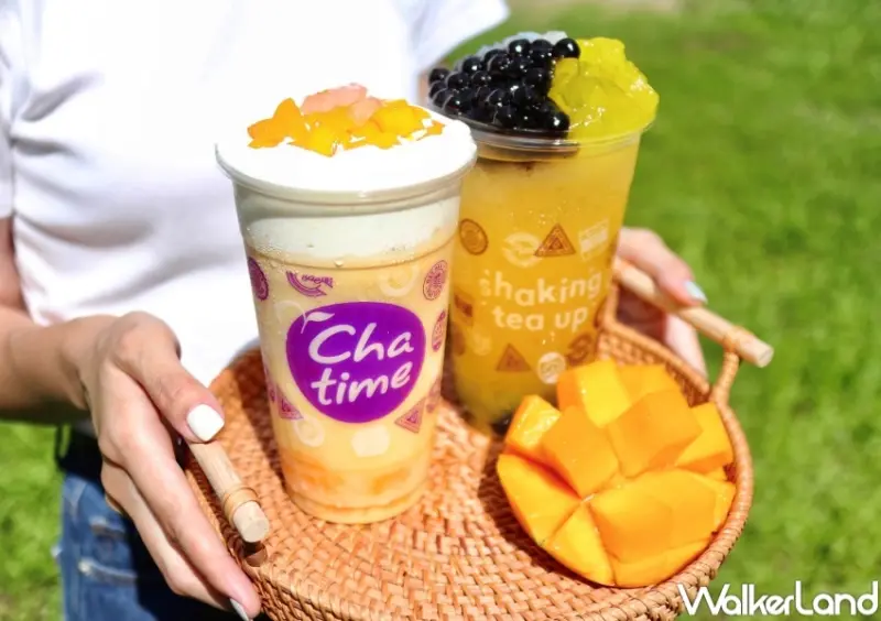 日出茶太 Walkerland窩客島獨家買一送一優惠 / WalkerLand窩客島整理提供 未經許可，不得轉載