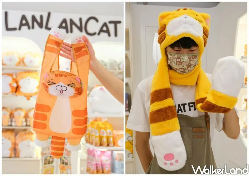 板橋「白爛貓雜貨舖」/ WalkerLand窩客島整理提供 未經同意不可轉載