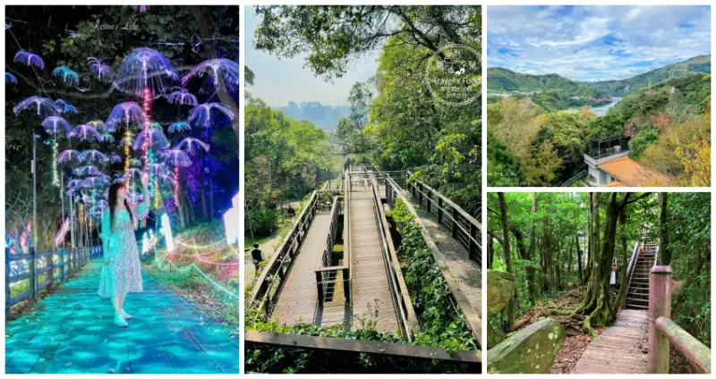 桃園人私房消暑秘境！7個天然系「桃園避曬景點」全攻略，仙氣爆棚「迷霧森林步道」、超夯約會聖地「夜間光雕步道」，好走好拍又清涼。