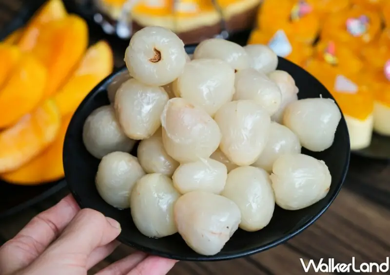 台北火鍋吃到飽「辛巴適麻辣鍋」榴槤火鍋、榴槤吃到飽/ WalkerLand窩客島整理提供 未經同意不可轉載