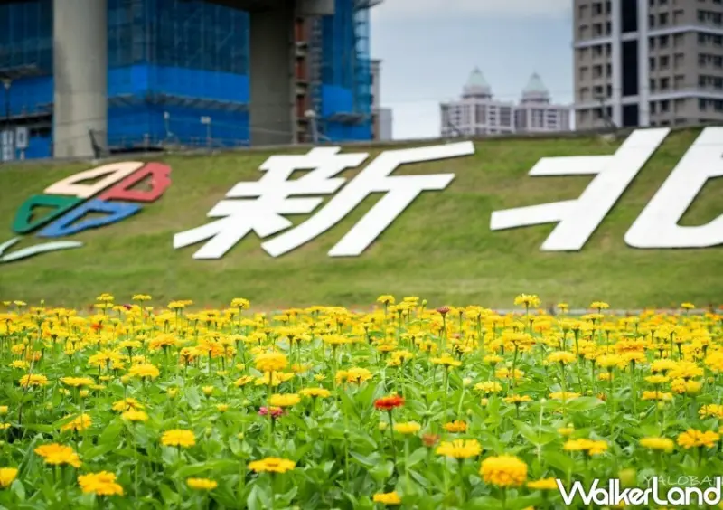 三重新北大都會公園花海/ WalkerLand窩客島整理提供 未經同意不可轉載