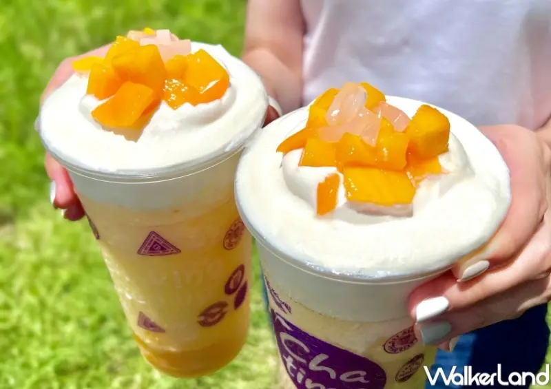 日出茶太 Walkerland窩客島獨家買一送一優惠 / WalkerLand窩客島整理提供 未經許可，不得轉載