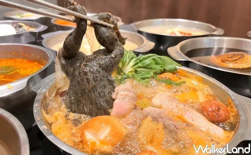 千葉火鍋 7月優惠 / WalkerLand窩客島整理提供 未經許可，不得轉載