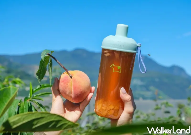迷客夏 水蜜桃飲料/ WalkerLand窩客島整理提供 未經同意不可轉載