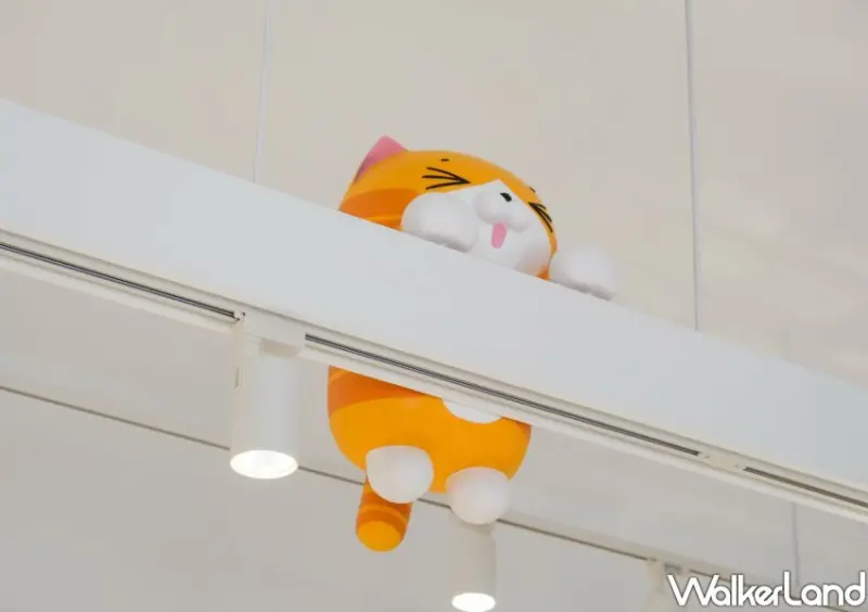 板橋「白爛貓雜貨舖」/ WalkerLand窩客島整理提供 未經同意不可轉載