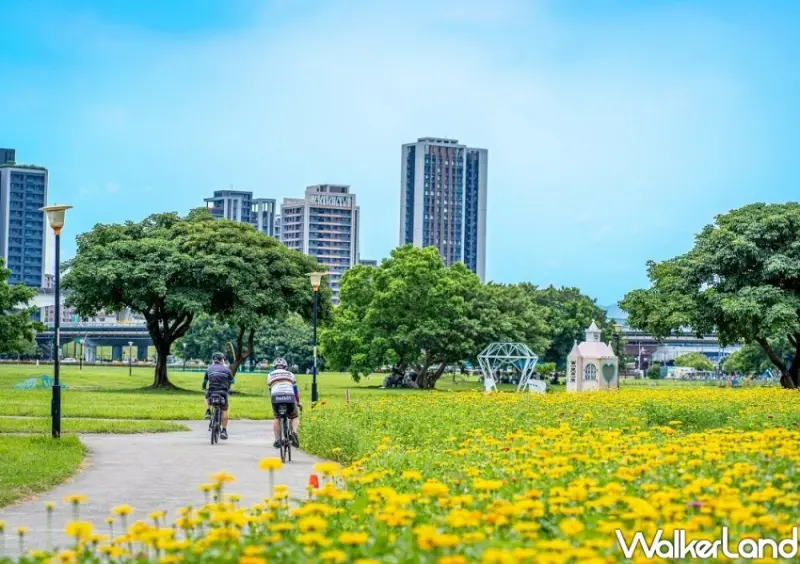 三重新北大都會公園花海/ WalkerLand窩客島整理提供 未經同意不可轉載