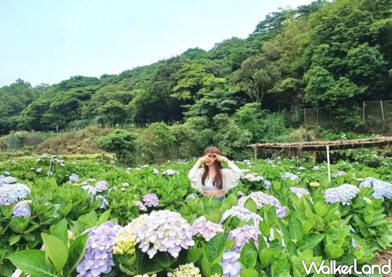 台北水圳步道/ WalkerLand窩客島整理提供 未經同意不可轉載