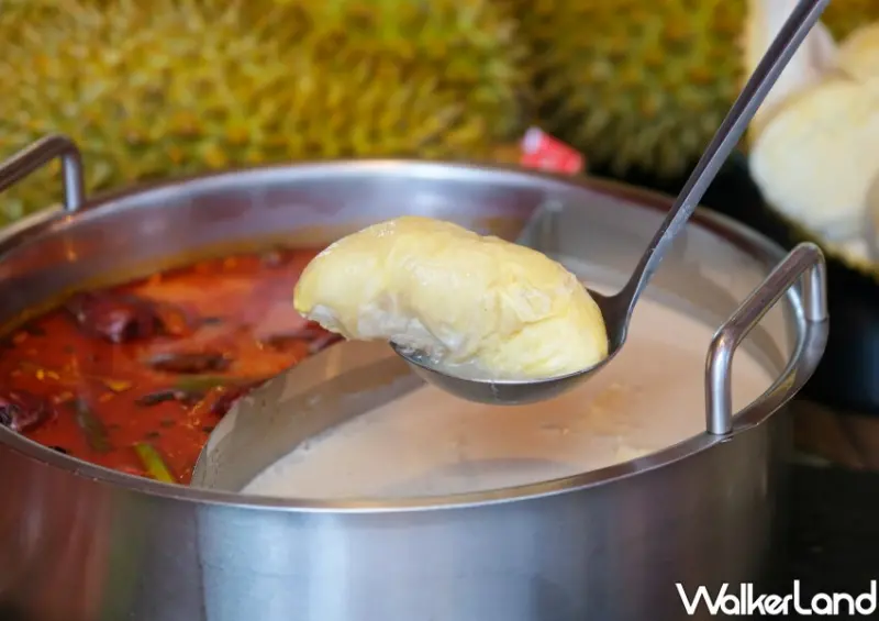 台北火鍋吃到飽「辛巴適麻辣鍋」榴槤火鍋、榴槤吃到飽/ WalkerLand窩客島整理提供 未經同意不可轉載