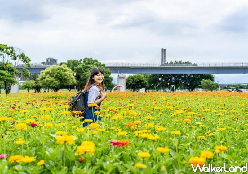 三重新北大都會公園花海/ WalkerLand窩客島整理提供 未經同意不可轉載