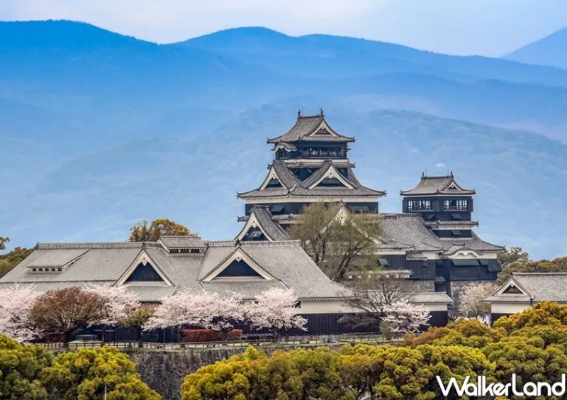 華航父親節特價機票/ WalkerLand窩客島整理提供 未經同意不可轉載
