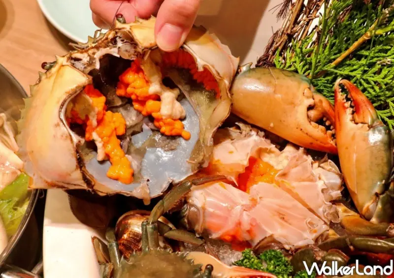 汆食 作伙鍋 火鍋吃到飽店家資訊/ WalkerLand窩客島整理提供 未經同意不可轉載