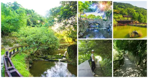 假日踏青衝一波！台北人都不一定去過「7個文山景點」搶收藏，內行才知「鄰湖環狀步道、眺望天台」帶你一次玩遍整個文山。