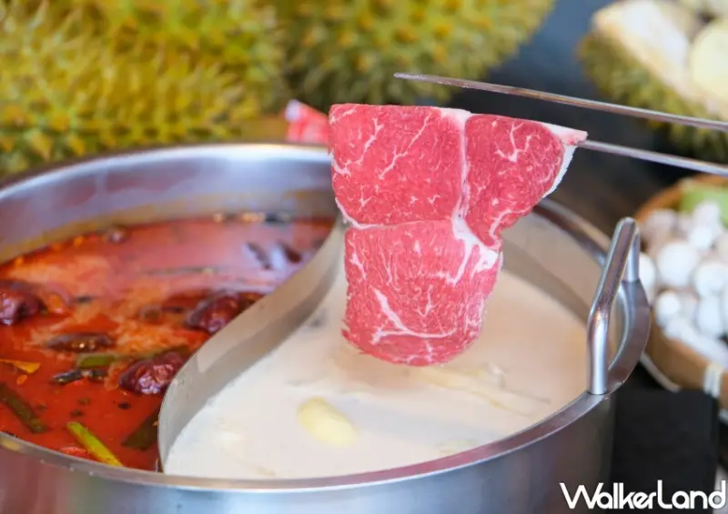 台北火鍋吃到飽「辛巴適麻辣鍋」榴槤火鍋、榴槤吃到飽/ WalkerLand窩客島整理提供 未經同意不可轉載
