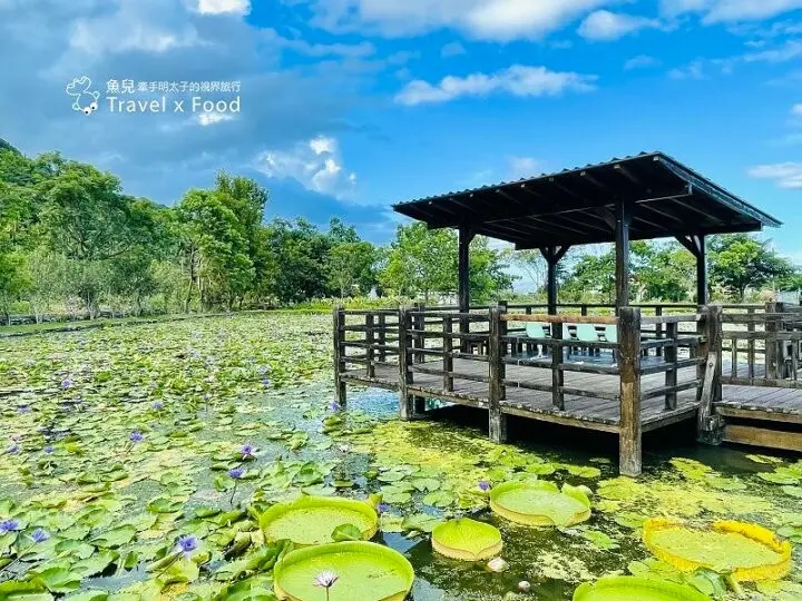 蓮城蓮花園 / WalkerLand窩客島整理提供 未經許可不可轉載