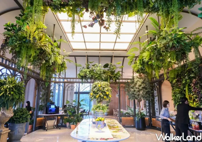 雲品溫泉酒店日月潭/ WalkerLand窩客島整理提供 未經同意不可轉載